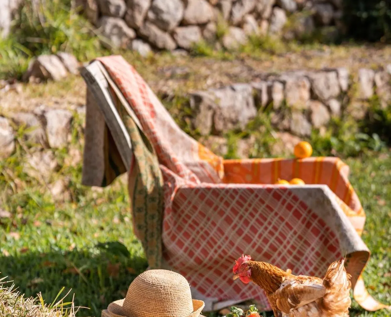 Agroturismo Son Viscos contacts